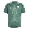 Maillot Foot Nigeria Special Edition Verte 2024